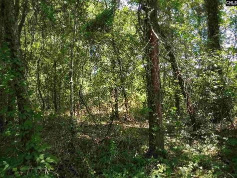 0 Clyde Avenue Cheraw SC 29520