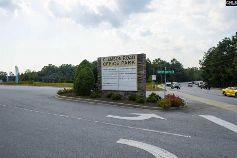 110 Barton Creek Court Columbia SC 29229