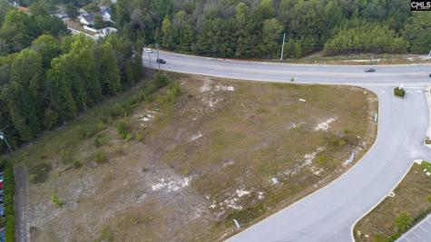 110 Barton Creek Court Columbia SC 29229