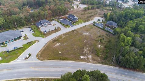 110 Barton Creek Court Columbia SC 29229