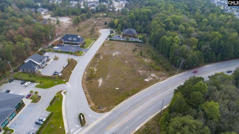 110 Barton Creek Court Columbia SC 29229