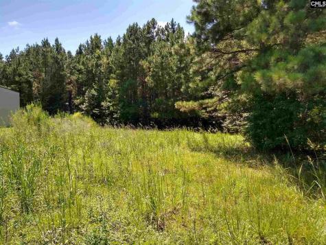 0 Chesterfield Highway Cheraw SC 29520