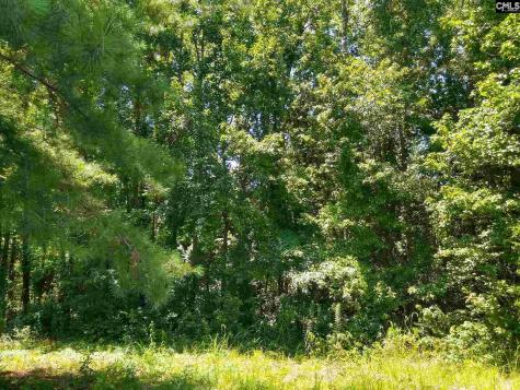 0 Chesterfield Highway Cheraw SC 29520