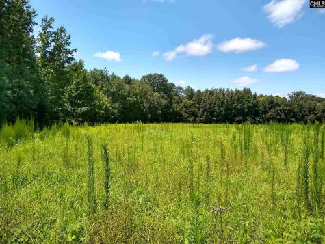 0 Chesterfield Highway Cheraw SC 29520
