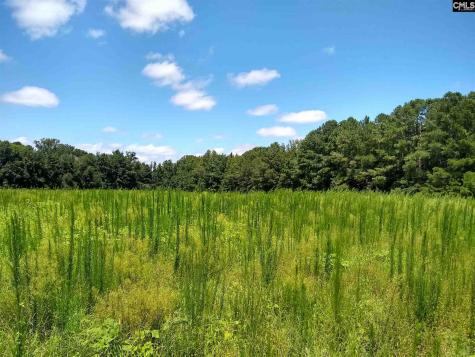 0 Chesterfield Highway Cheraw SC 29520