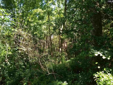 0 Chesterfield Highway Cheraw SC 29520