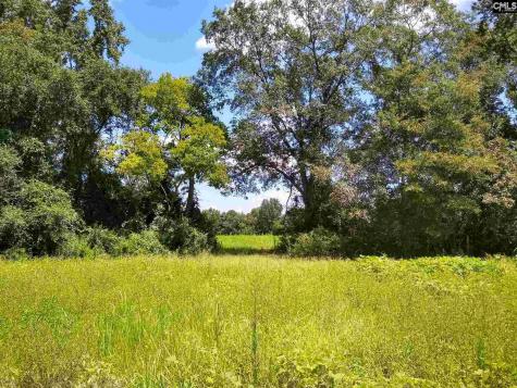 0 Moffatt Road Cheraw SC 29520